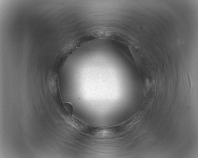 X0000066100460200603241522