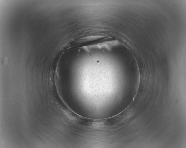 X0000066100462200603241523