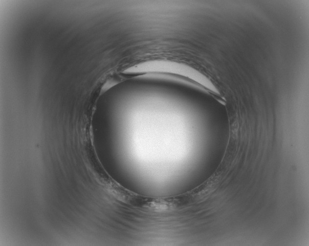 X0000066100464200603241523