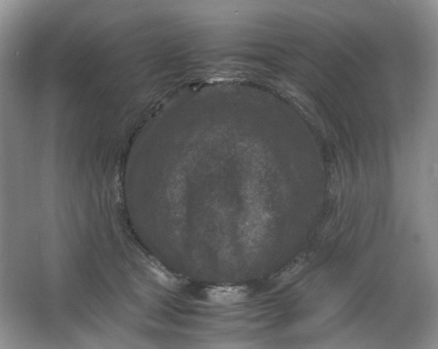 X0000066100465200603241523