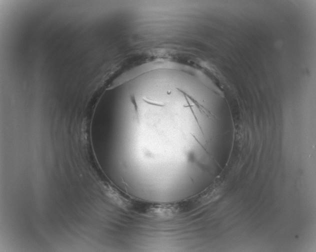 X0000066100466200603241523