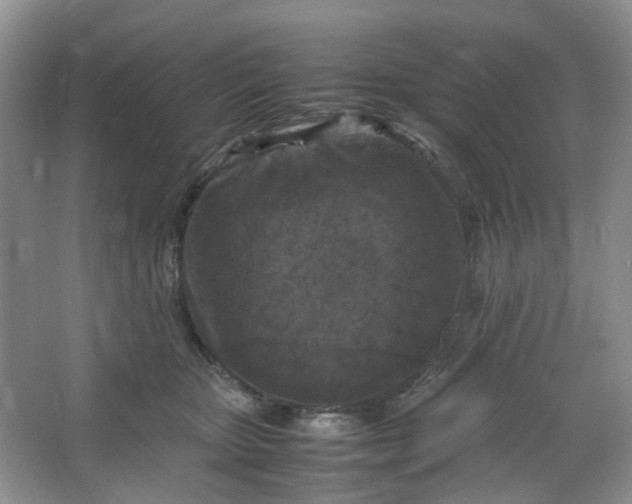 X0000066100467200603241523