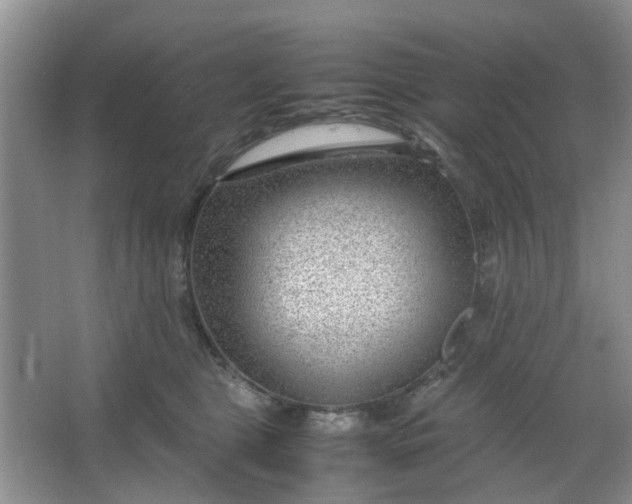 X0000066100469200603241523