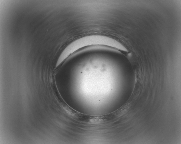 X0000066100470200603241523