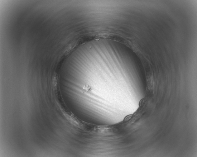 X0000066100472200603241523