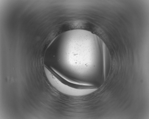 X0000066100473200603241523