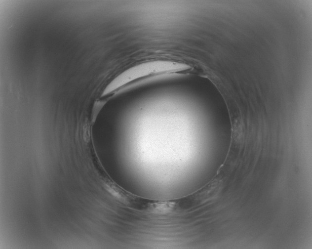 X0000066100474200603241523