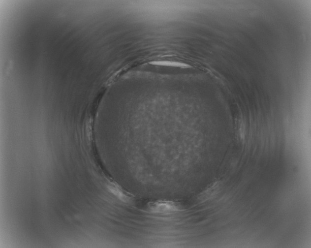 X0000066100475200603241523