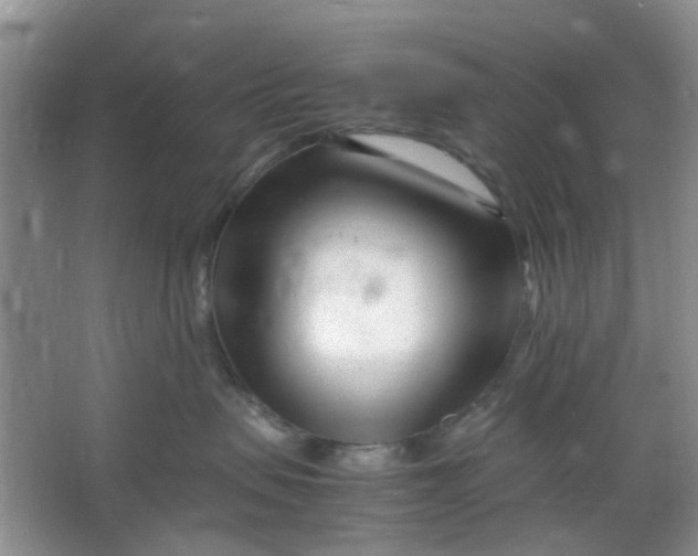 X0000066100479200603241523