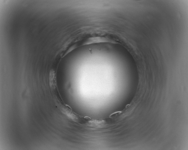 X0000066100480200603241523