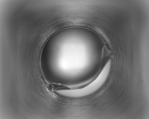 X0000066100481200603241522