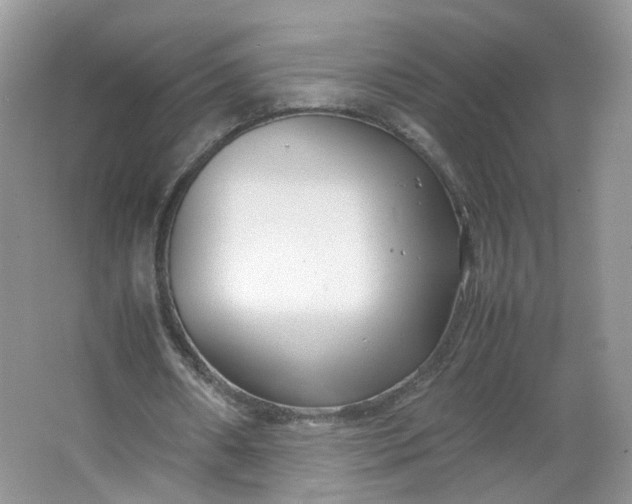 X0000066100482200603241522