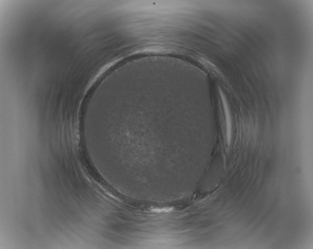 X0000066100484200603241522