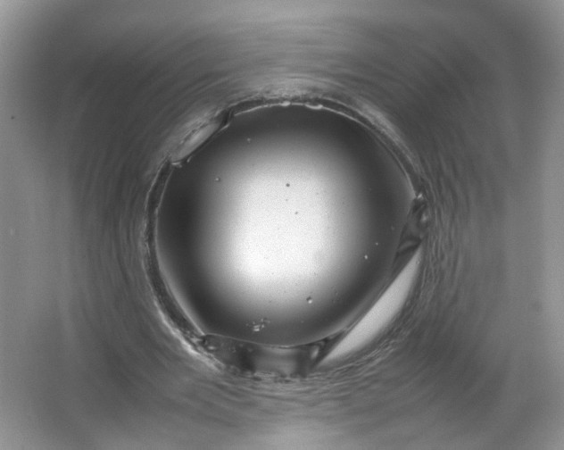 X0000066100485200603241522