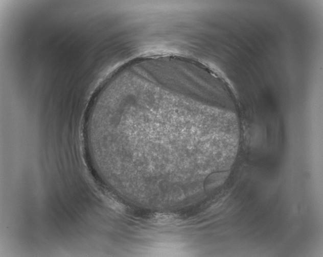 X0000066100487200603241522