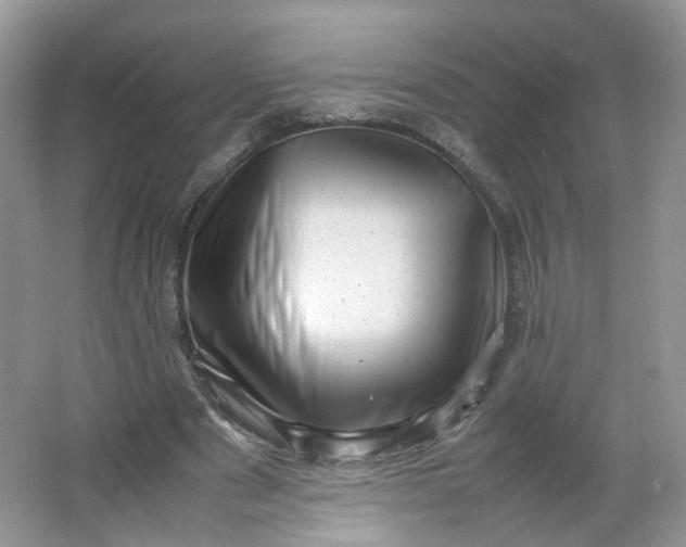 X0000066100489200603241522