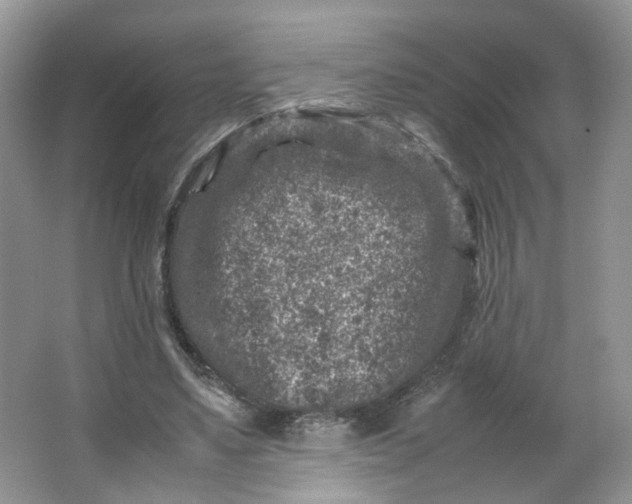 X0000066100491200603241522