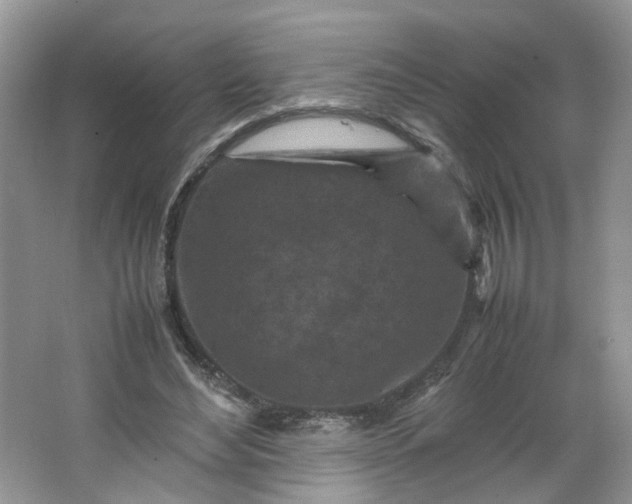 X0000066100492200603241522