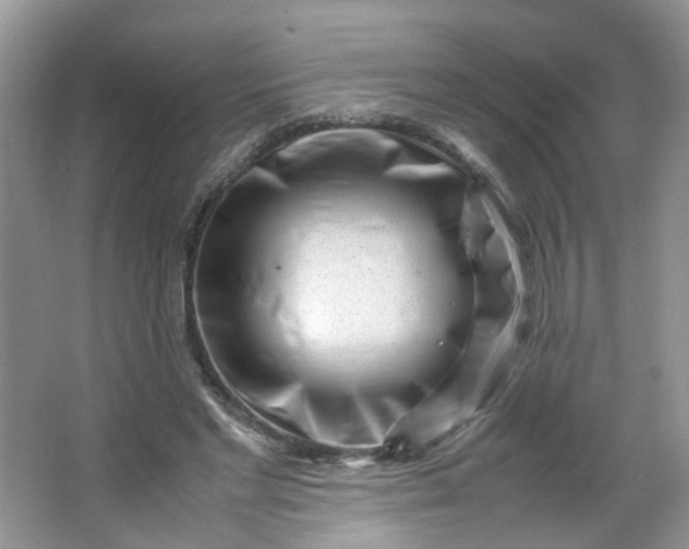 X0000066100493200603241522