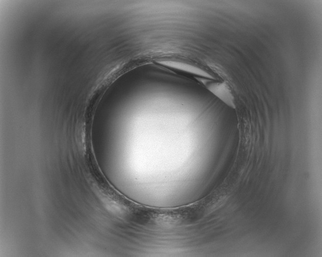 X0000066100494200603241522