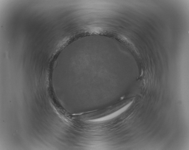 X0000066100496200603241522