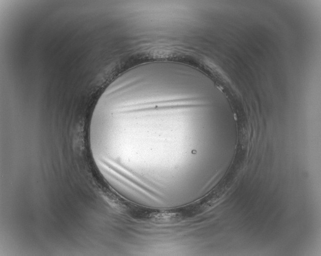 X0000066100497200603241522