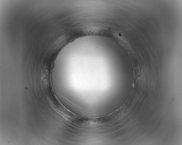 X0000066100498200603241522