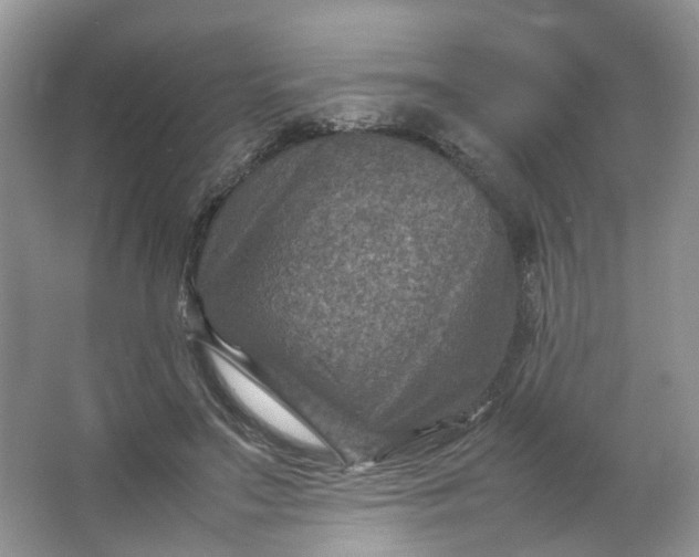 X0000066100499200603241522