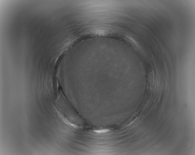 X0000066100500200603241522