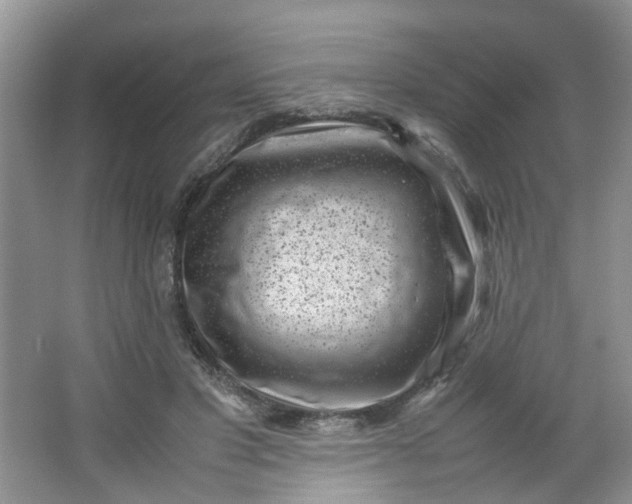 X0000066100501200603241522