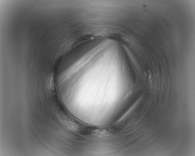 X0000066100502200603241522