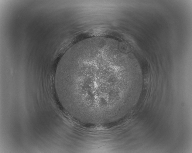 X0000066100503200603241522