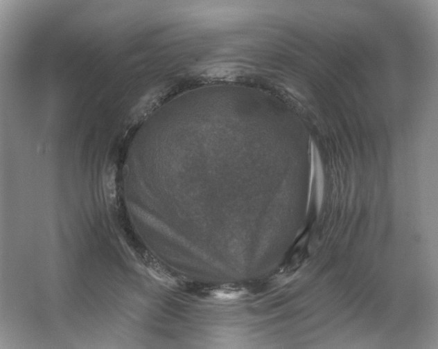 X0000066100504200603241522