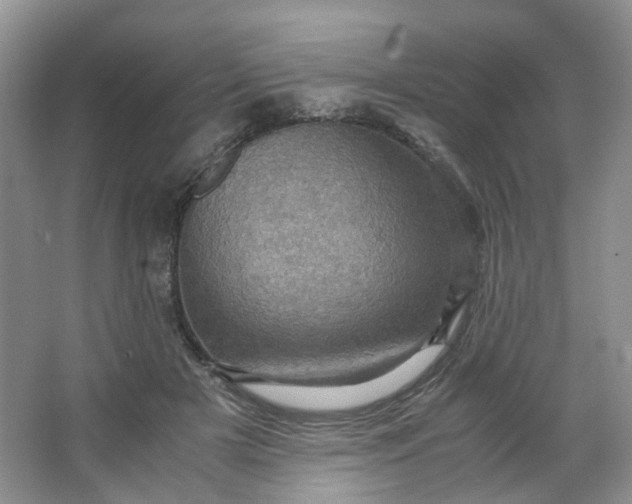 X0000066100505200603241522