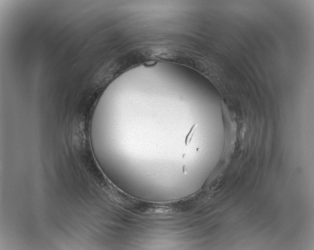 X0000066100506200603241522