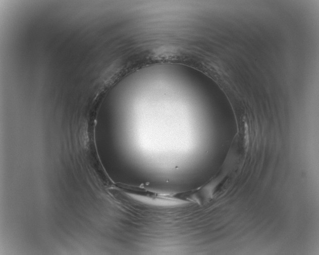 X0000066100508200603241522