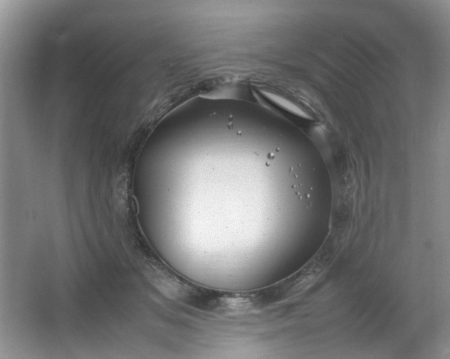 X0000066100509200603241522