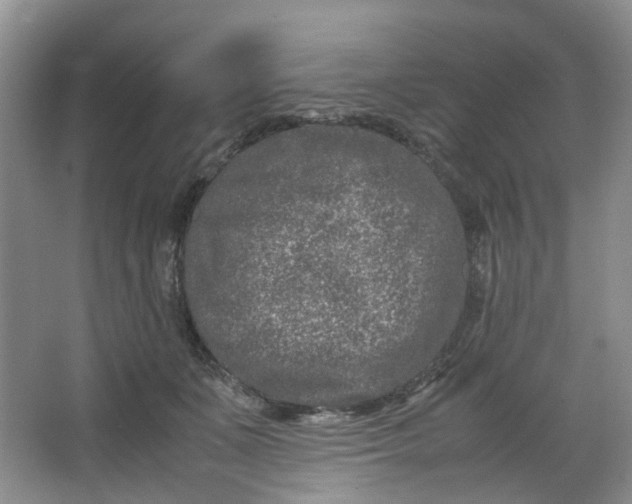 X0000066100511200603241522