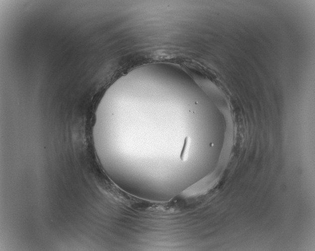 X0000066100512200603241521