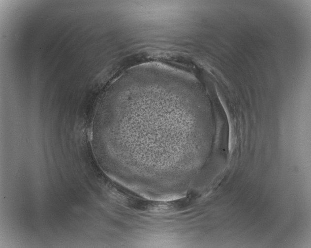 X0000066100513200603241521