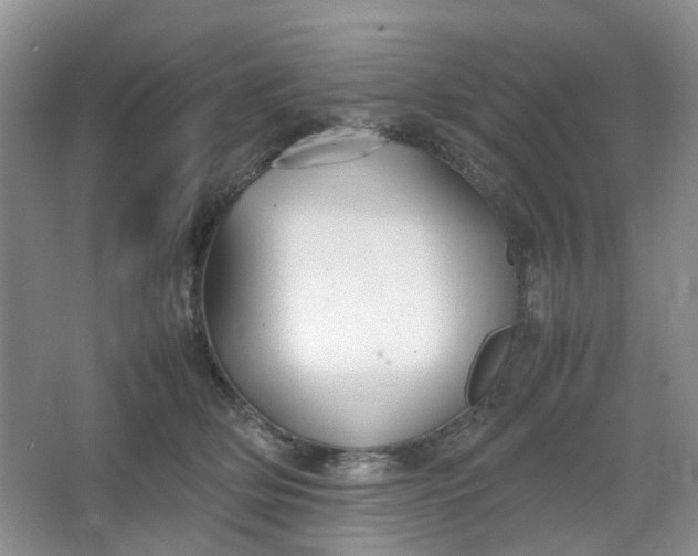 X0000066100514200603241521