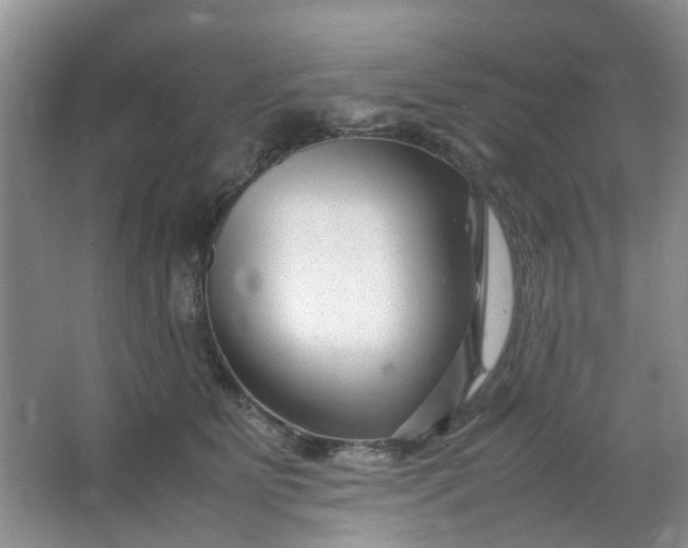 X0000066100515200603241521