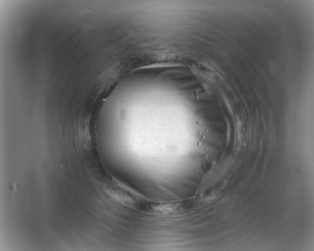 X0000066100516200603241521