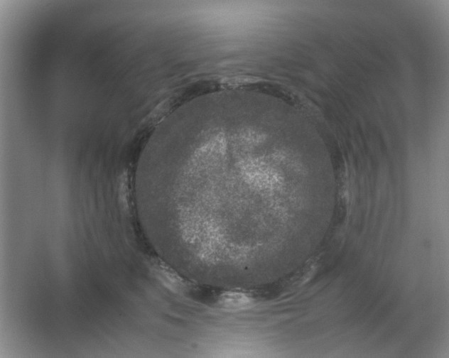 X0000066100519200603241521