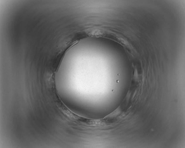 X0000066100521200603241521