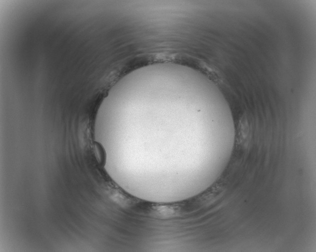 X0000066100522200603241521