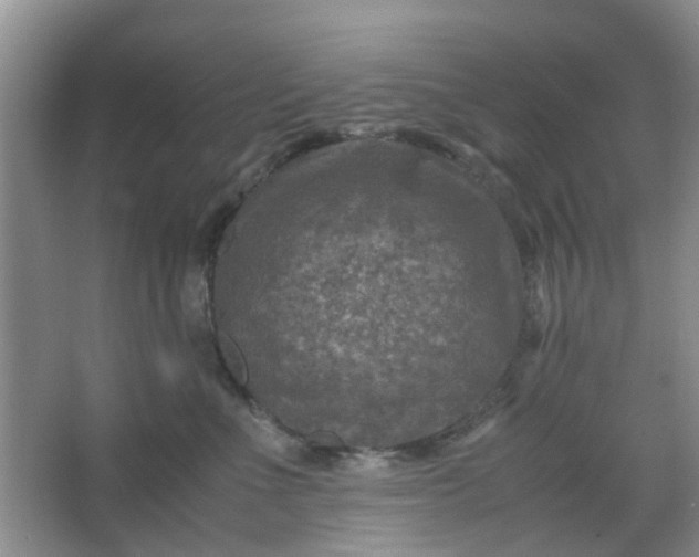 X0000066100523200603241521