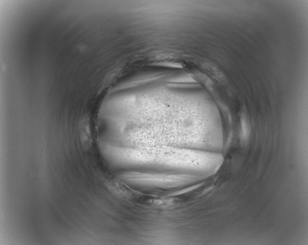 X0000066100524200603241521