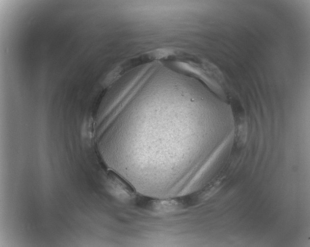 X0000066100525200603241521