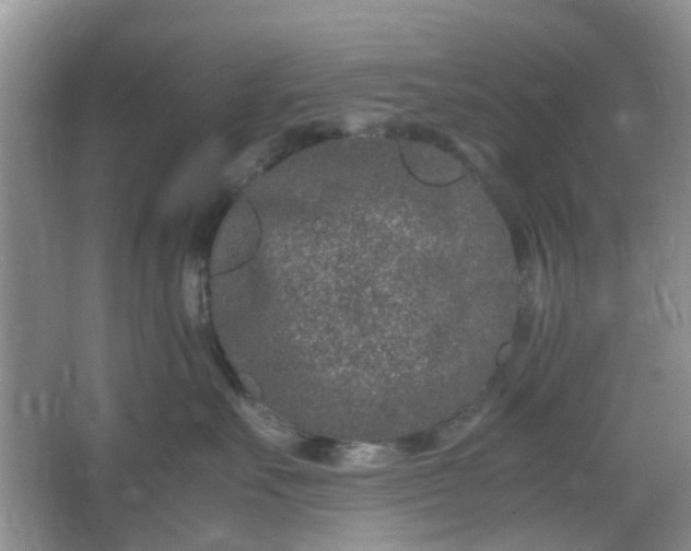 X0000066100527200603241521